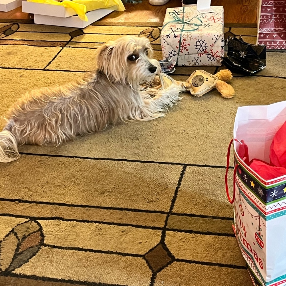 Bundle pic - Picture 5 of 6